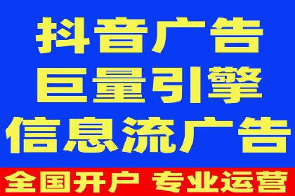 SEO与SEM优化案例：打造行业领先品牌